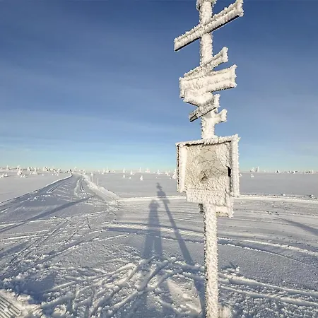 Amazing In With Wifi *