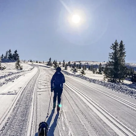 Amazing In With Wifi * Øyer