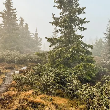 Apartamento Amazing In With Wifi *