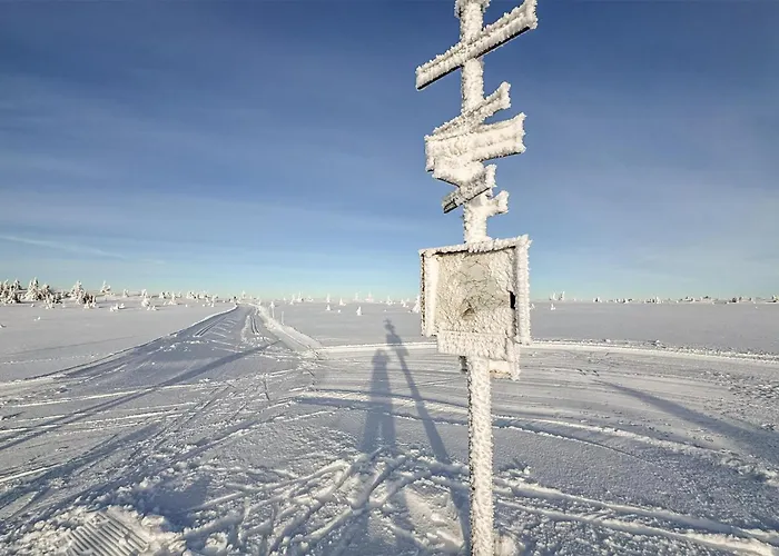 Amazing In With Wifi *