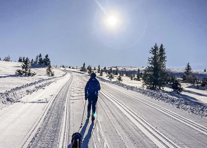 Amazing In With Wifi * Øyer