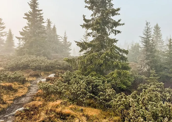 Apartamento Amazing In With Wifi *